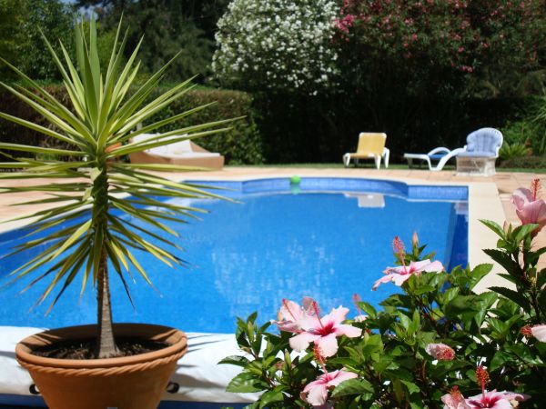 Pool Terrace Renovation in Lenexa